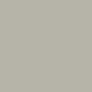[210.06.009] COUPOLLE DISC DUST/OR